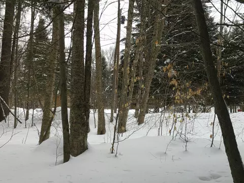 0 Plot Rd #2, Johnson, VT 05656 photo 13