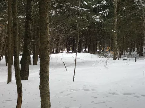 0 Plot Rd #2, Johnson, VT 05656 photo 12