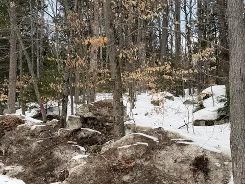 103 New Hampshire 16 # 6, Albany, NH 03818