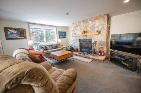 1 Brookside Village Way # D, Dover, VT 05356