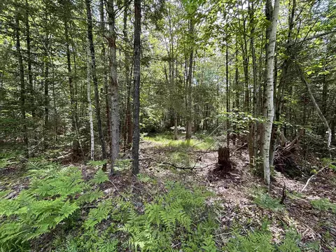37446 N Shorewashington Dr, Barnstead, NH 03225