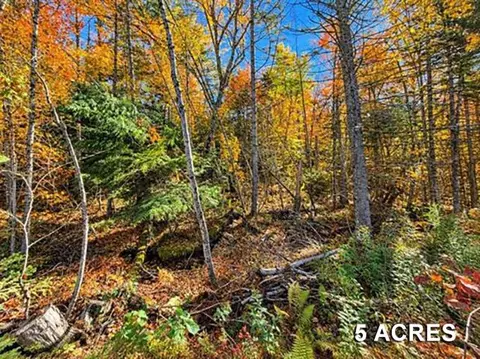 00 Mountain Rd, Burke, VT 05832