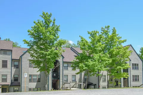 28 Fowler Rd #N103, Ludlow, VT 05149