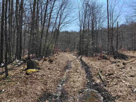 lot1 Marshall Rd, Duxbury, VT 05676