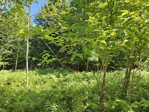 lot3 3 Off Parker Rd, Lisbon, NH 03585