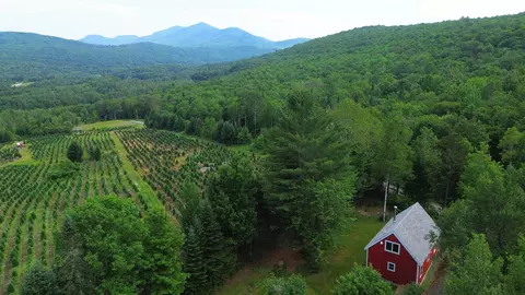 374 Crank Rd, Bloomfield, VT 05905