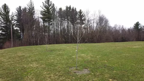 315 N Hill Rd, Westfield, VT 05874