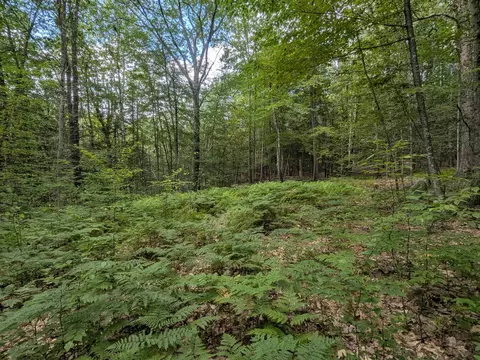 66 Burton Highway, Wilton, NH 03086