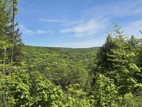 00 Vt Rte 12 #LOT 2, Barnard, VT 05031