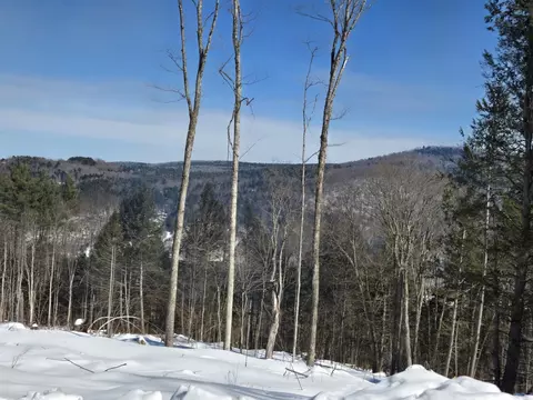 00 Vt Rte 12 #LOT S 1-2, Barnard, VT 05031