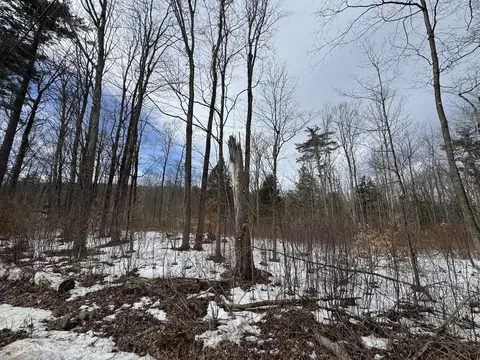 17 Chamberlain Dr, Salisbury, VT 05769