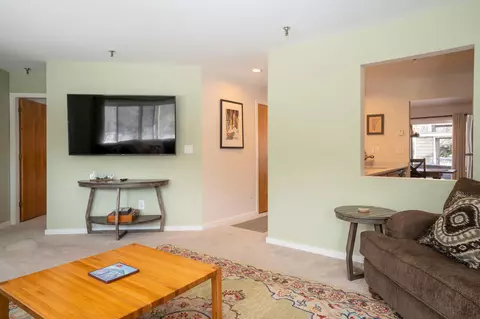 Living - 49 High Point Dr #A-14, Stratton, VT 05360 photo 4 of 4
