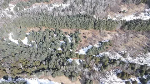 0 Hollow Rd, Barton, VT 05822 photo 20
