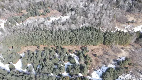 0 Hollow Rd, Barton, VT 05822 photo 16