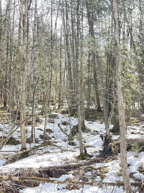 0 Hollow Rd, Barton, VT 05822 photo 4