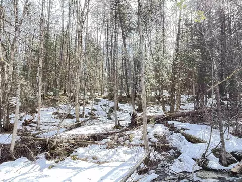0 Hollow Rd, Barton, VT 05822 photo 6