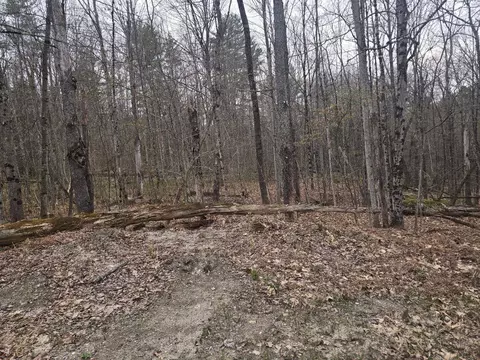 Copeland Road, Unity, NH 03603