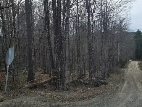 Copeland Road, Unity, NH 03603 photo 2