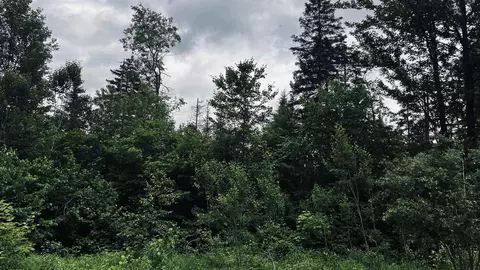 1606 Town Farm Rd, Sheffield, VT 05866