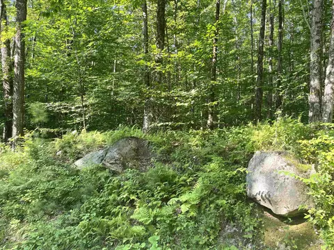 00 N Branch Rd, Ripton, VT 05766 photo 3