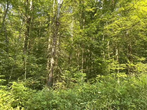 00 N Branch Rd, Ripton, VT 05766 photo 6