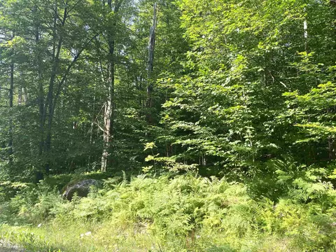 00 N Branch Rd, Ripton, VT 05766 photo 13