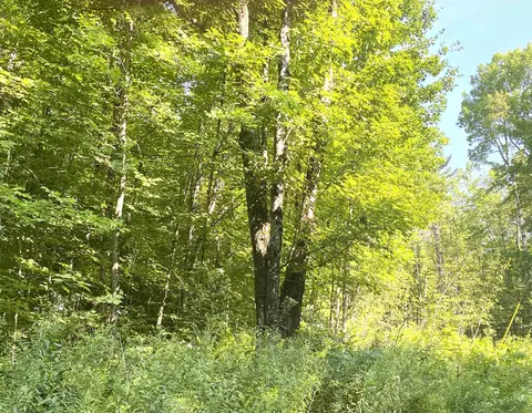 00 N Branch Rd, Ripton, VT 05766 photo 4
