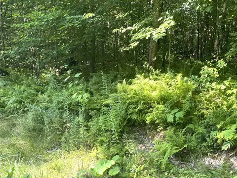00 N Branch Rd, Ripton, VT 05766 photo 11