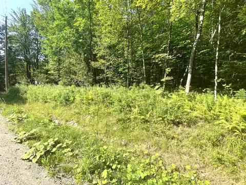 00 N Branch Rd, Ripton, VT 05766 photo 7