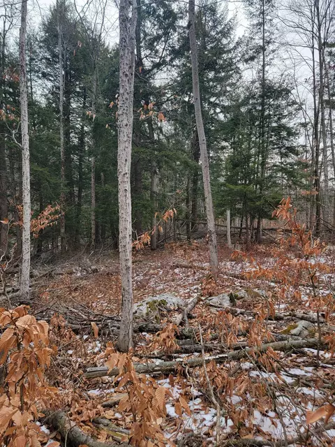 80 Crossover Rd, Bennington, VT 05201 photo 4