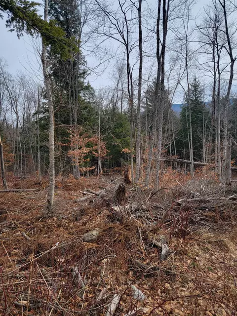 80 Crossover Rd, Bennington, VT 05201 photo 2