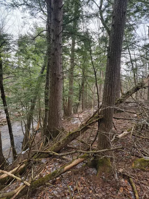 80 Crossover Rd, Bennington, VT 05201 photo 9