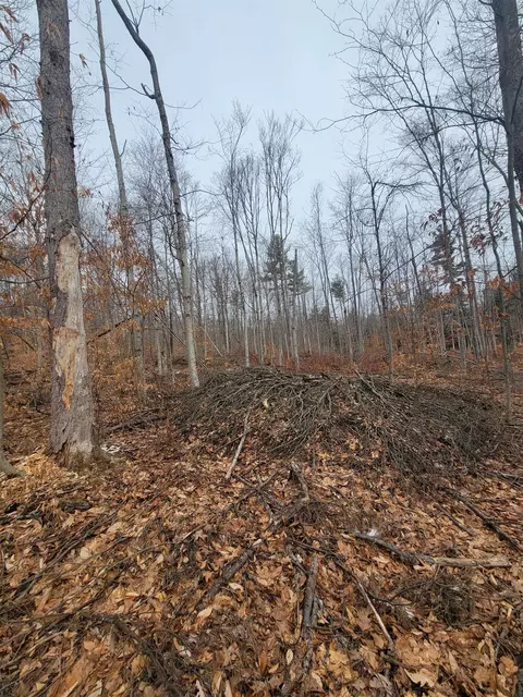 80 Crossover Rd, Bennington, VT 05201 photo 15