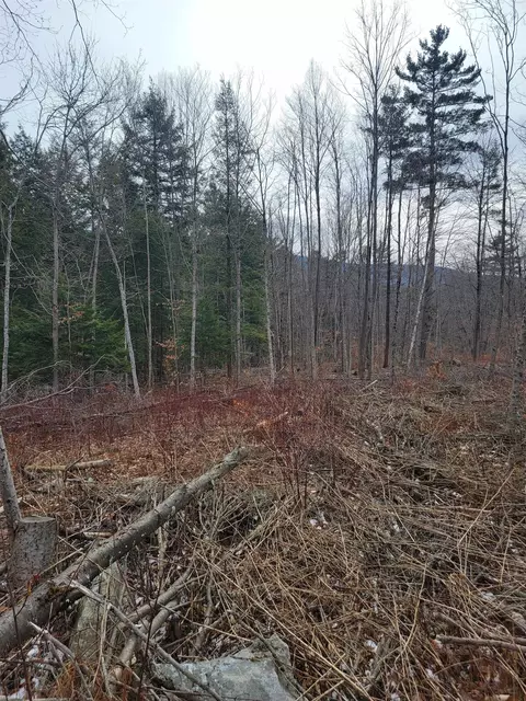 80 Crossover Rd, Bennington, VT 05201 photo 3