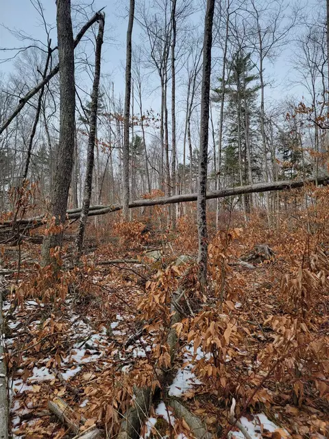 80 Crossover Rd, Bennington, VT 05201 photo 6