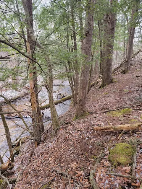 80 Crossover Rd, Bennington, VT 05201 photo 7