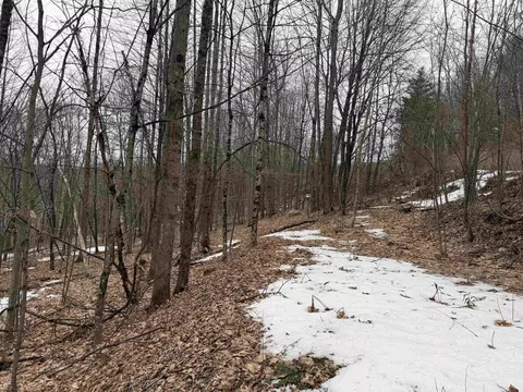 194 Mine Rd, Strafford, VT 05072