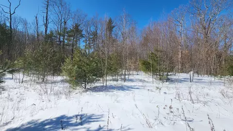 tbd Old Concord Tpke, Barrington, NH 03825