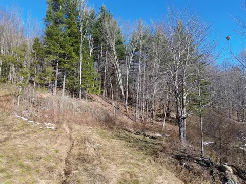 00 Bent Birch Ln #3, Warren, VT 05674