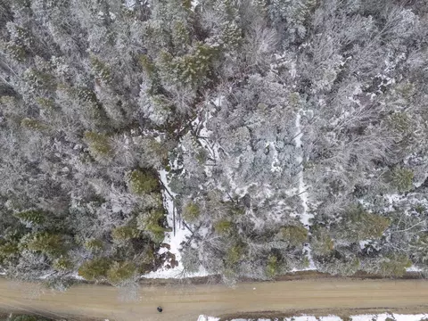 M10 L50 Ashuelot Drive, Washington, NH 03280