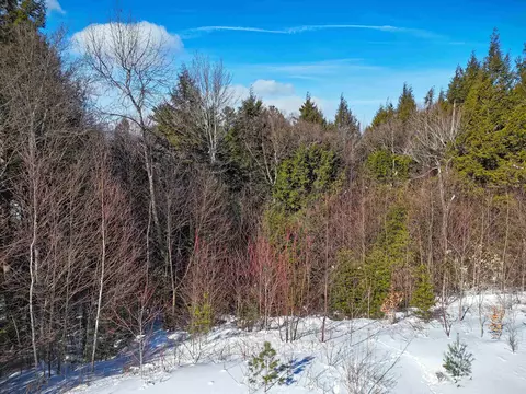 00 Garden Loop Rd, Winhall, VT 05340 photo 4
