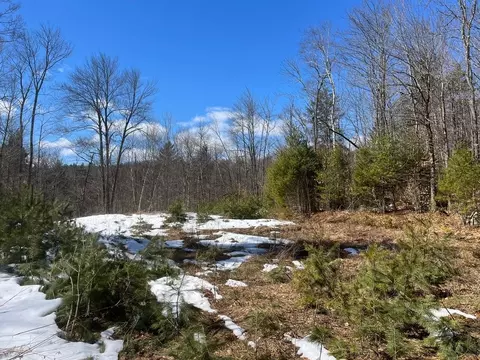00 Pratt Bridge Rd, Jamaica, VT 05143