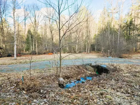 69 Old Haven Ln, Putney, VT 05346 photo 17