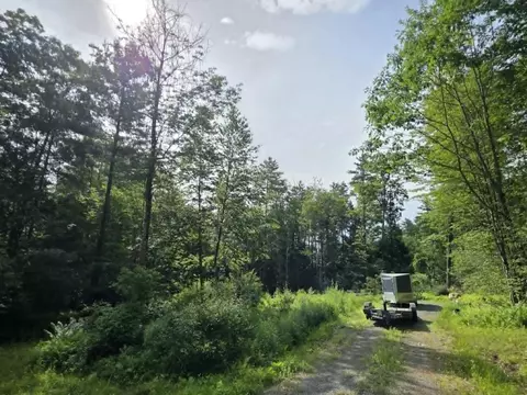 69 Old Haven Ln, Putney, VT 05346 photo 3