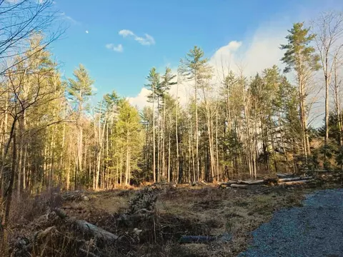 69 Old Haven Ln, Putney, VT 05346 photo 8