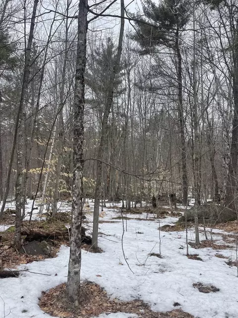 lot13 9 E Washington Rd, Washington, NH 03280