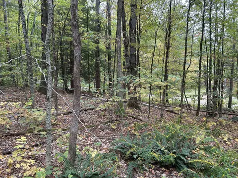 0 Crane Mt Rd Apt Lot #LOT 2, Townshend, VT 05353