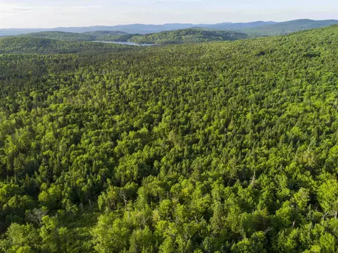 8 Diamond Pond Rd #B, Stewartstown, NH 03576
