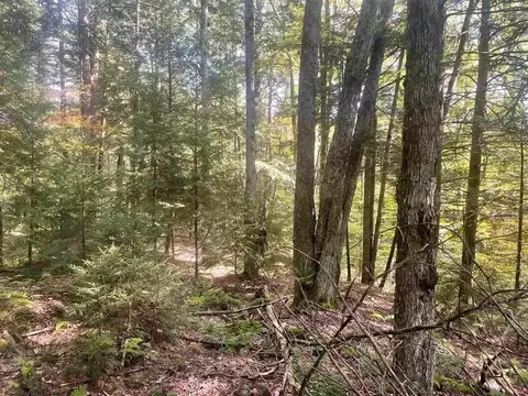 00 Brown Rd, Worcester, VT 05682 photo 7