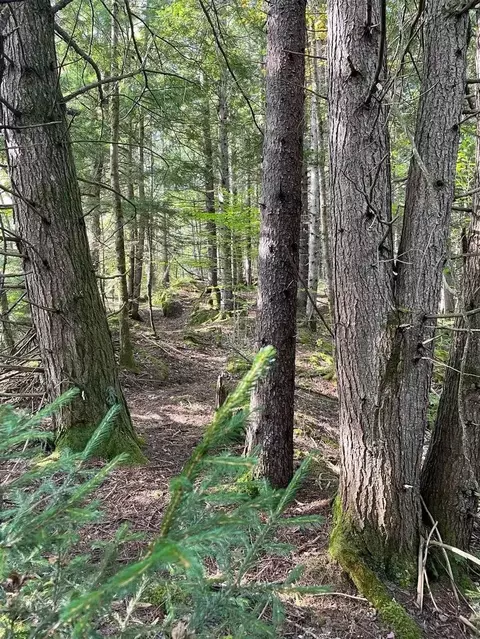 00 Brown Rd, Worcester, VT 05682 photo 3